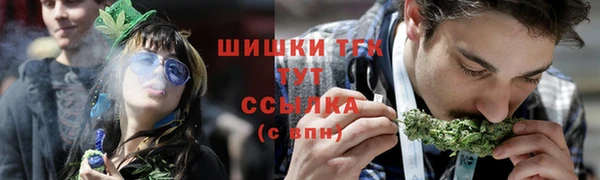 ECSTASY Алзамай