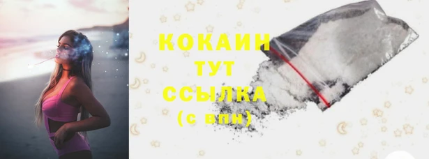 ECSTASY Алзамай