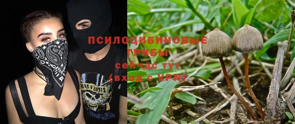 твердый Алексеевка