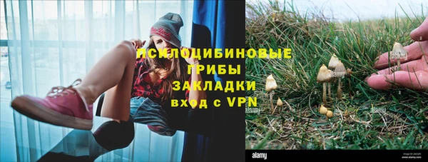 твердый Алексеевка