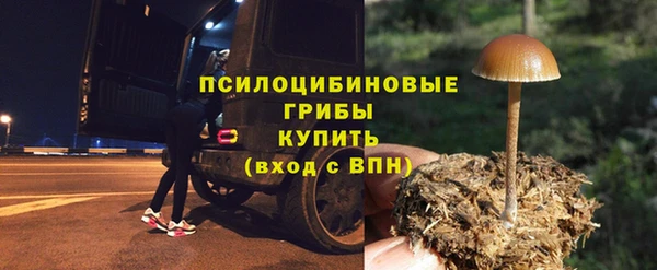ECSTASY Алзамай