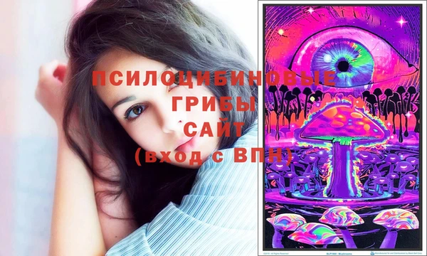 ECSTASY Алзамай