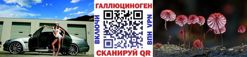 Галлюциногенные грибы мицелий  как найти   Покров 